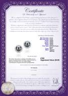 product certificate: FW-B-AAAA-89-E-Bessie