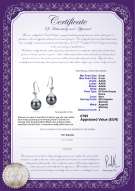  Certificato di prodotto: FW-B-AAAA-89-E-Ethel