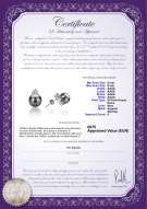Certificato di prodotto: FW-B-AAAA-89-E-Evelyn