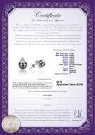 product certificate: FW-B-AAAA-89-E-Evelyn