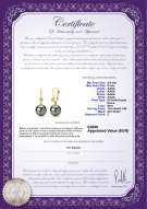 Certificato di prodotto: FW-B-AAAA-89-E-Illuminate