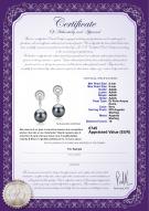 product certificate: FW-B-AAAA-89-E-Madonna