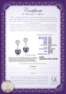 Certificato di prodotto: FW-B-AAAA-89-E-Madonna