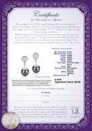 product certificate: FW-B-AAAA-89-E-Madonna