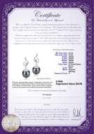 Certificato di prodotto: FW-B-AAAA-89-E-Priscilla