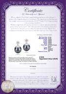  Certificato di prodotto: FW-B-AAAA-89-E-Wilma