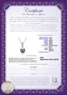 product certificate: FW-B-AAAA-89-P-Kendra