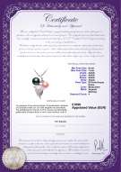 Certificato di prodotto: FW-BPW-AAAA-67-P-Grape
