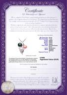 product certificate: FW-BPW-AAAA-67-P-Grape