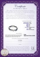 product certificate: FW-BW-A-611-BGB-Irina