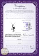 Certificato di prodotto: FW-BW-AAAA-67-P-Davina