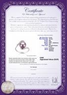 product certificate: FW-L-AA-910-R-Chantel