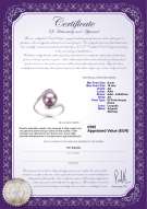 Certificato di prodotto: FW-L-AA-910-R-Chantel
