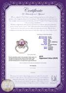  Certificato di prodotto: FW-L-AA-910-R-Fiona
