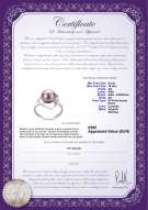 Certificato di prodotto: FW-L-AA-910-R-Sadie
