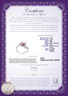  Certificato di prodotto: FW-L-AAA-67-R-Dana