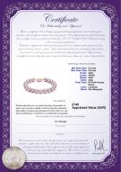 product certificate: FW-L-AAA-8595-B