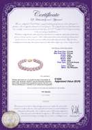 Certificato di prodotto: FW-L-AAA-8595-B