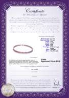  Certificato di prodotto: FW-L-AAA-8595-N