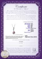 Certificato di prodotto: FW-L-AAA-910-P-Clementina