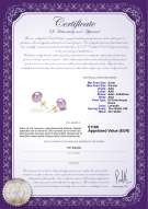 Certificato di prodotto: FW-L-AAA-995-E