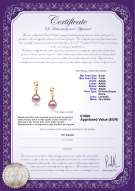 Certificato di prodotto: FW-L-AAAA-67-E-Anya