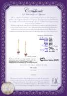 Certificato di prodotto: FW-L-AAAA-67-E-Misha
