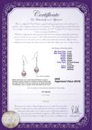 Certificato di prodotto: FW-L-AAAA-78-E-Sandra