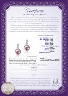 product certificate: FW-L-AAAA-78-E-Valery