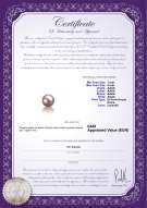 product certificate: FW-L-AAAA-78-L1