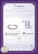 Certificato di prodotto: FW-L-AAAA-8595-B