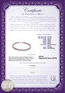 Certificato di prodotto: FW-L-AAAA-8595-N