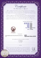 product certificate: FW-L-AAAA-910-L1