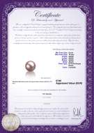 Certificato di prodotto: FW-L-AAAA-910-L1