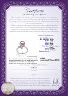 product certificate: FW-L-AAAA-910-R-Grace