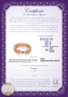  Certificato di prodotto: FW-P-A-67-B-DBL