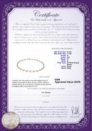 product certificate: FW-P-A-67-N-Atina