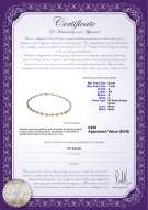  Certificato di prodotto: FW-P-A-67-N-Paige