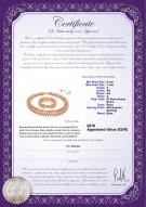 product certificate: FW-P-A-67-S-DBL