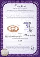  Certificato di prodotto: FW-P-A-67-S-DBL
