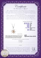 Certificato di prodotto: FW-P-AA-78-P-Nina