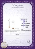 Certificato di prodotto: FW-P-AA-89-E-Amy