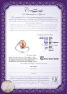 Certificato di prodotto: FW-P-AA-910-R-Chantel