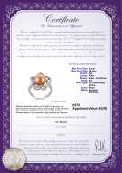 Certificato di prodotto: FW-P-AA-910-R-Fiona