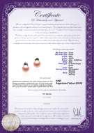 Certificato di prodotto: FW-P-AAA-56-E-Aria