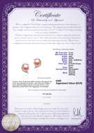  Certificato di prodotto: FW-P-AAA-56-E-Dolphin