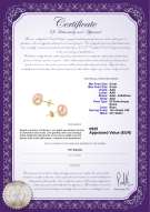 Certificato di prodotto: FW-P-AAA-89-E