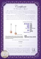 Certificato di prodotto: FW-P-AAAA-67-E-Ingrid
