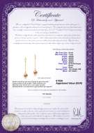 Certificato di prodotto: FW-P-AAAA-67-E-Misha