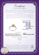 Certificato di prodotto: FW-P-AAAA-67-R-Andrea
